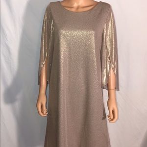 Shimmery Gold Dress (Brand New!!!)